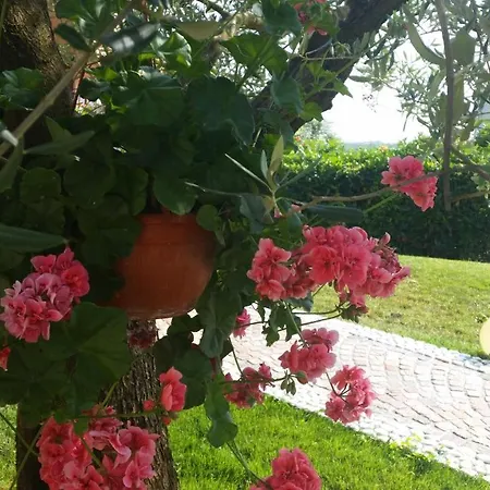Apartmens Alenka