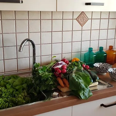 Apartmens Alenka *