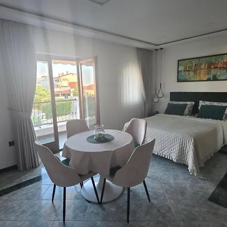 Apartmens Alenka ロヴィニ
